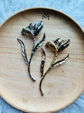 Exclusive Brooch